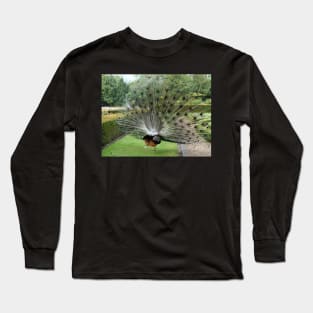 Breakup dance of peacock Long Sleeve T-Shirt